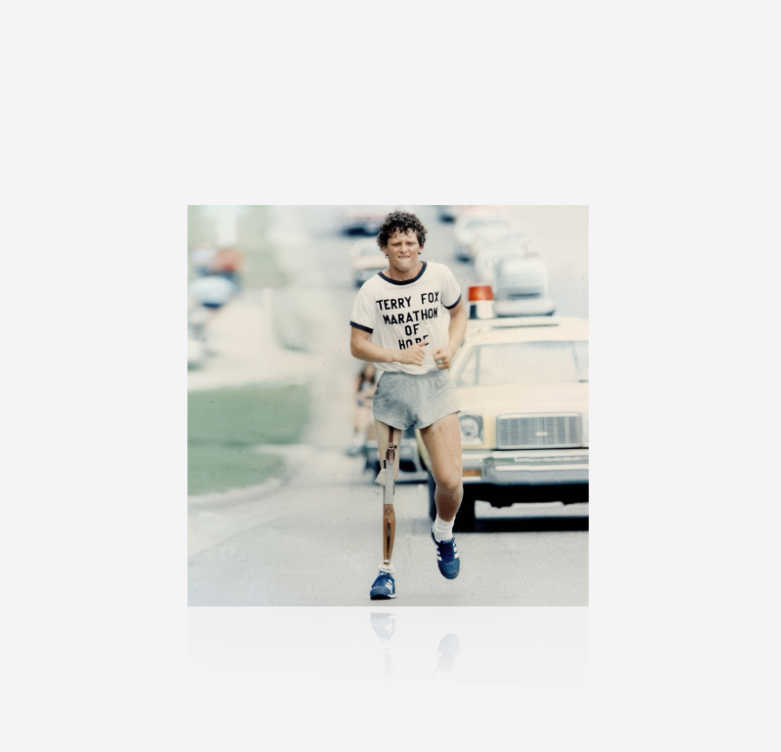 The Ballad of Terry Fox